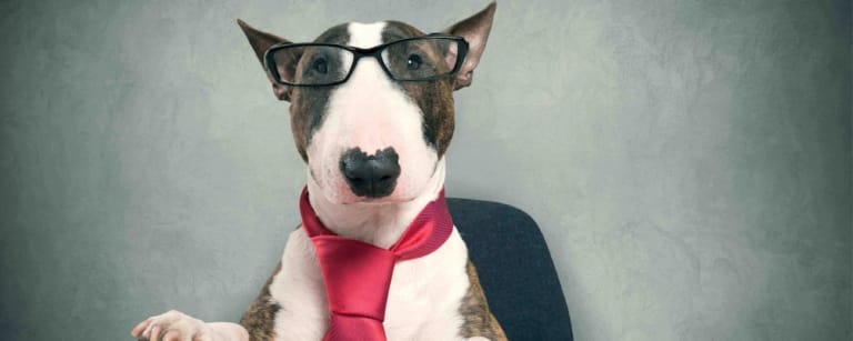 Menschen lachen gemeinsam – mehr Freude im Alltag durch bewusste positive Emotionen