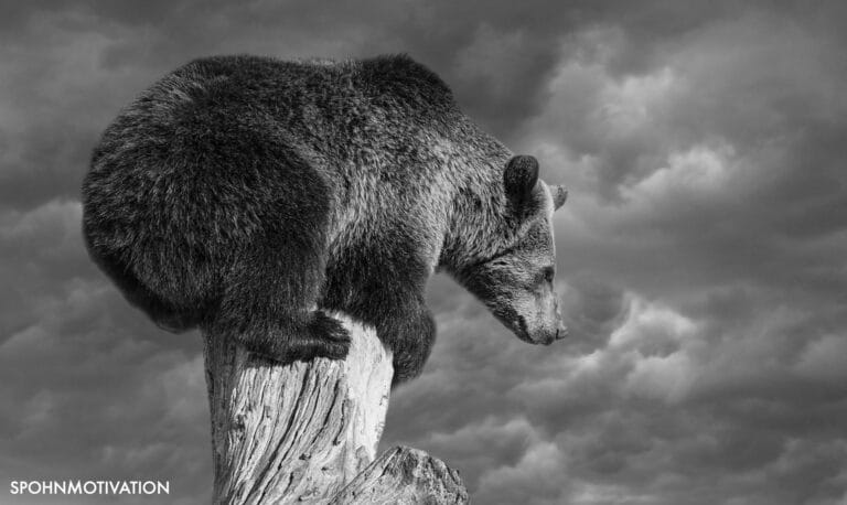 Wie man Kunden überzeugt, ohne sie zu überreden – Kommunikation im Verkauf